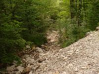 2014-08-02_06FritzPflaum-Steig (442).JPG